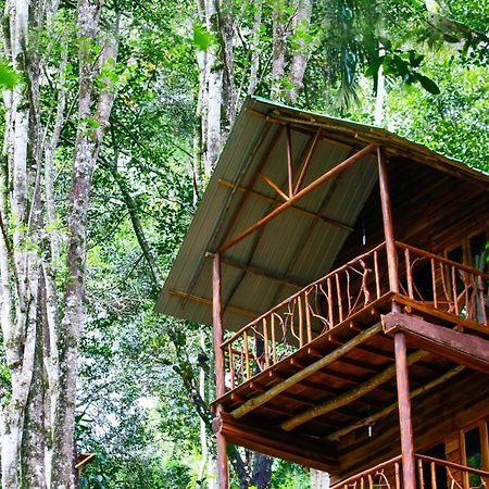 Ella Ecolodge Экстерьер фото