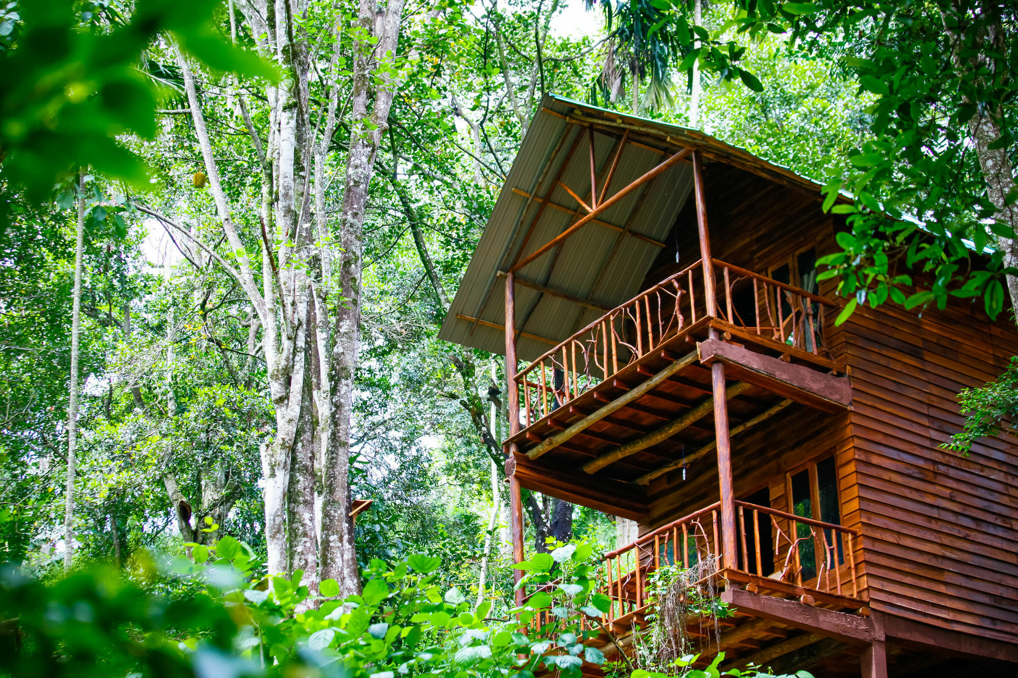 Ella Ecolodge Экстерьер фото