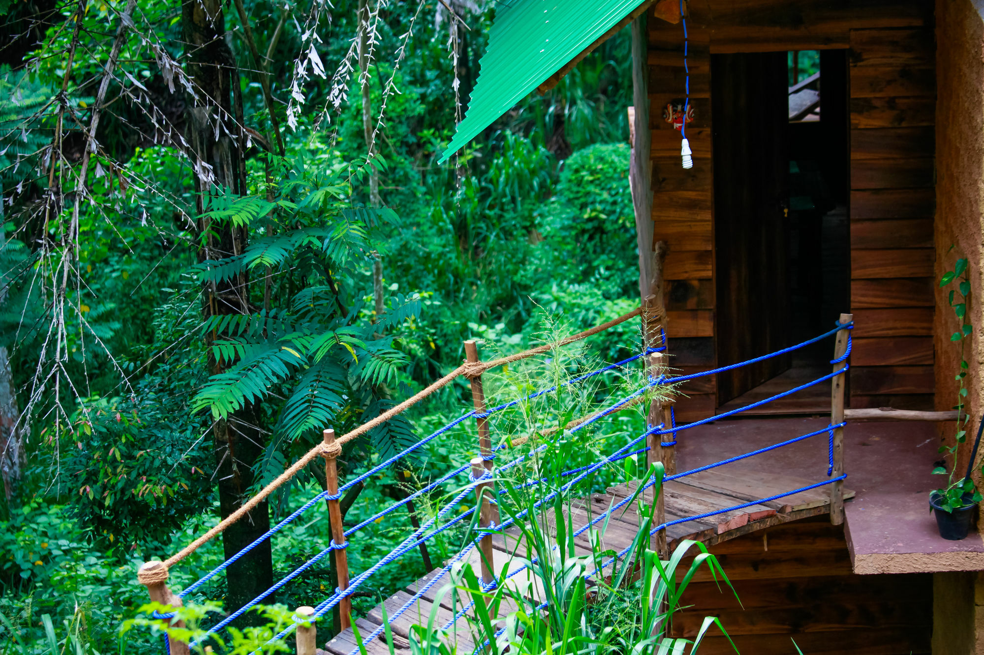 Ella Ecolodge Экстерьер фото
